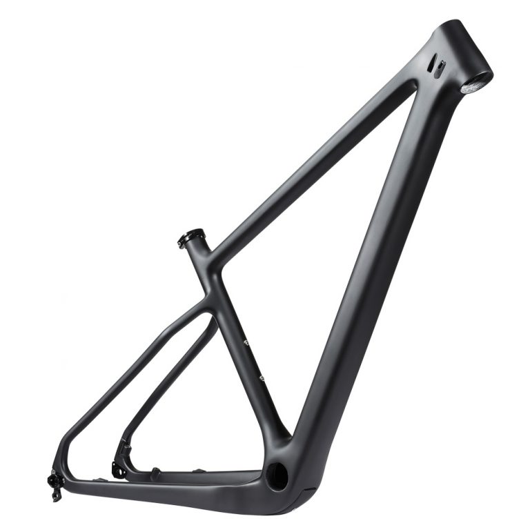 rinasclta carbon mtb hardtail rahmen