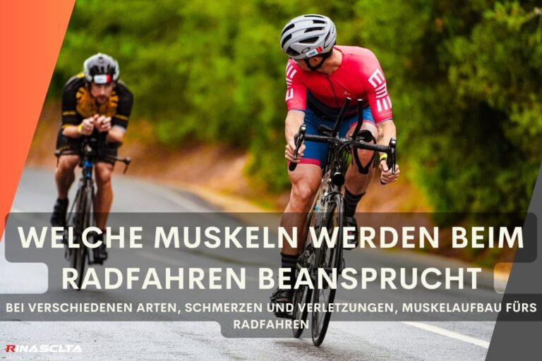 Welche Muskeln werden beim Radfahren beansprucht